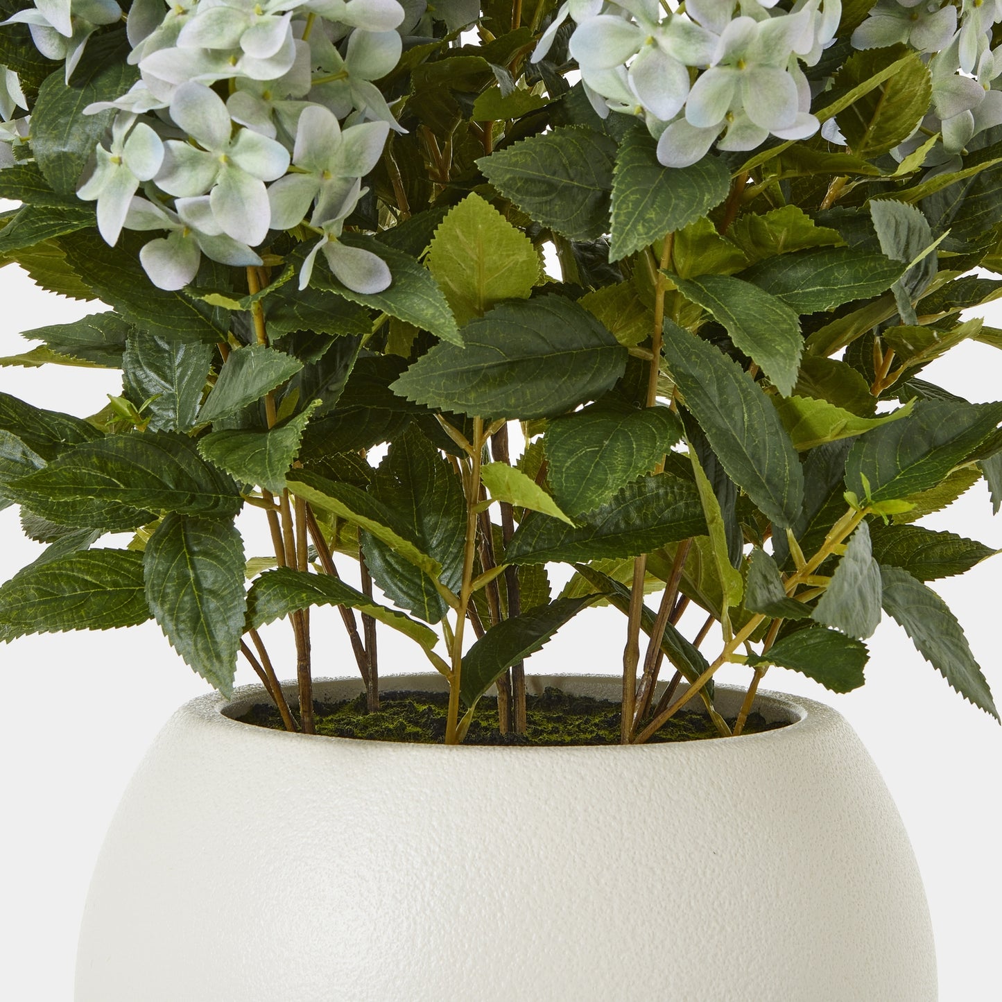 Large Green Hydrangea Plant In Pot - Luxe Home Comforts