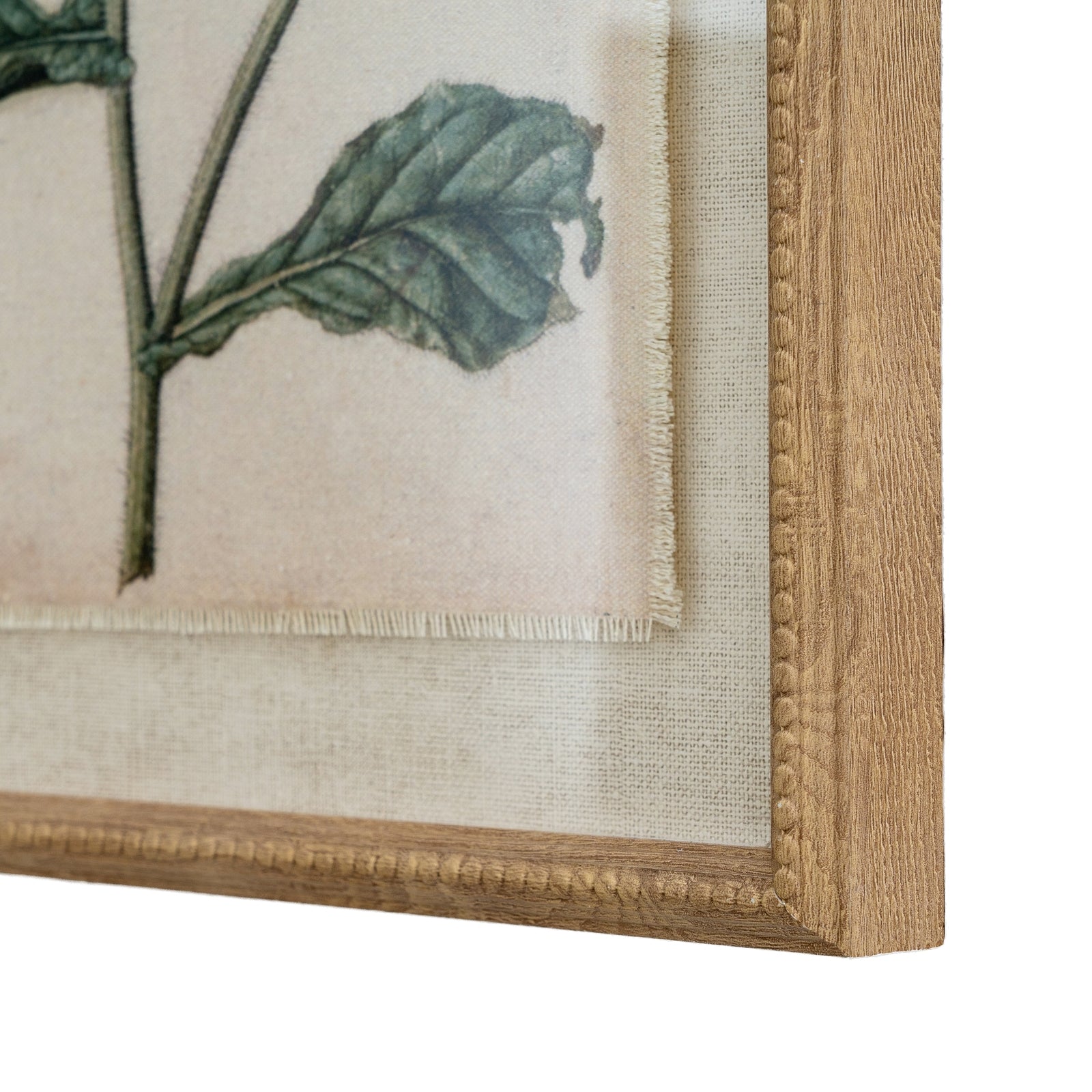 Flora & Fauna Collection Borage On Linen In Beaded Frame - Luxe Home Comforts