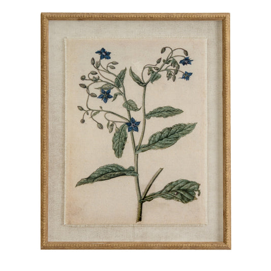 Flora & Fauna Collection Borage On Linen In Beaded Frame - Luxe Home Comforts