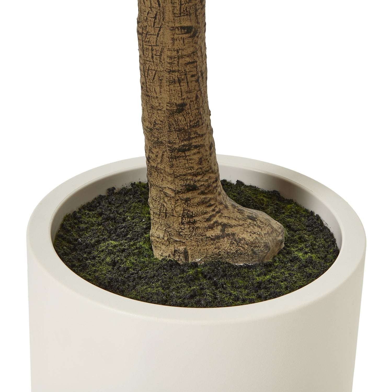 Apulia Olive Tree In White Pot 240Cm - Luxe Home Comforts