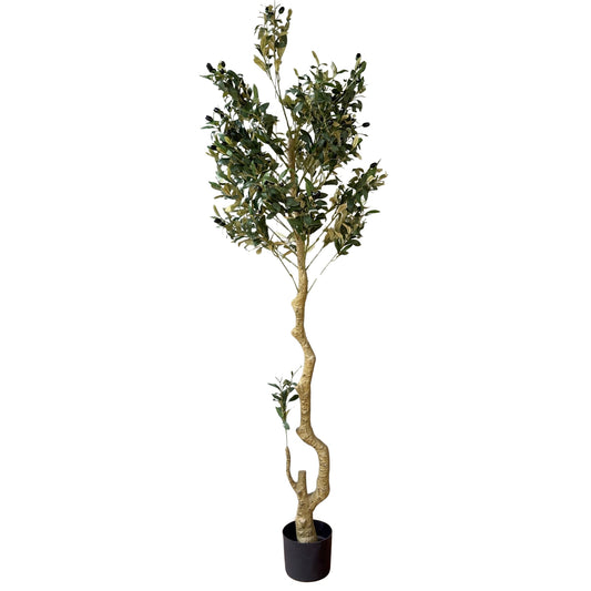 Calabria Large Olive Tree - Luxe Home Comforts