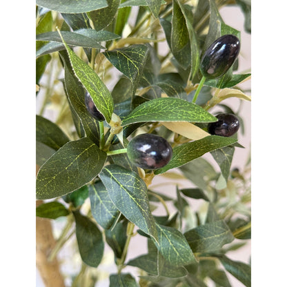 Calabria Large Olive Tree - Luxe Home Comforts