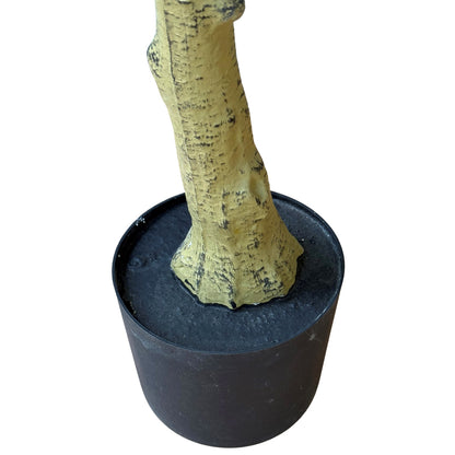 Calabria Olive Tree - Luxe Home Comforts