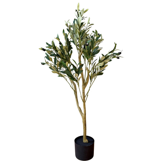Calabria Small Olive Tree - Luxe Home Comforts