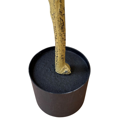 Calabria Small Olive Tree - Luxe Home Comforts