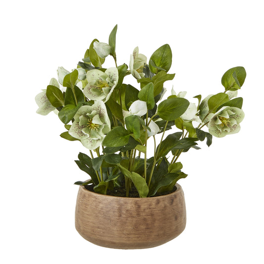 Green Hellebore Plant In Taupe Pot - Luxe Home Comforts