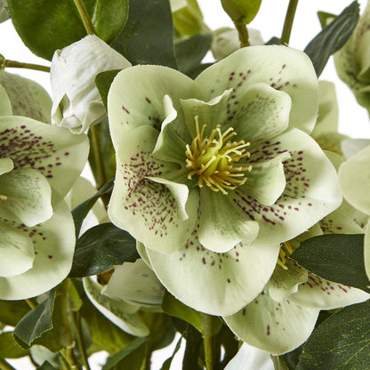 Large Green Hellebore in Taupe Pot - Luxe Home Comforts