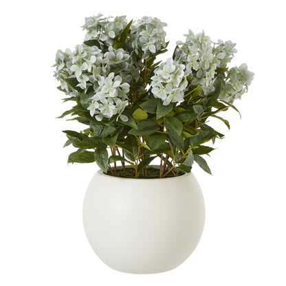 Large Green Hydrangea Plant In Pot - Luxe Home Comforts