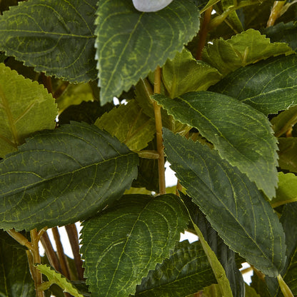 Large Green Hydrangea Plant In Pot - Luxe Home Comforts