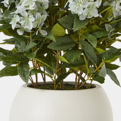 Large Green Hydrangea Plant In Pot - Luxe Home Comforts