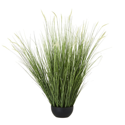 Large Onion Grass Plant In Pot - Luxe Home Comforts