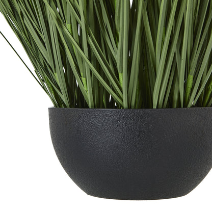 Large Onion Grass Plant In Pot - Luxe Home Comforts