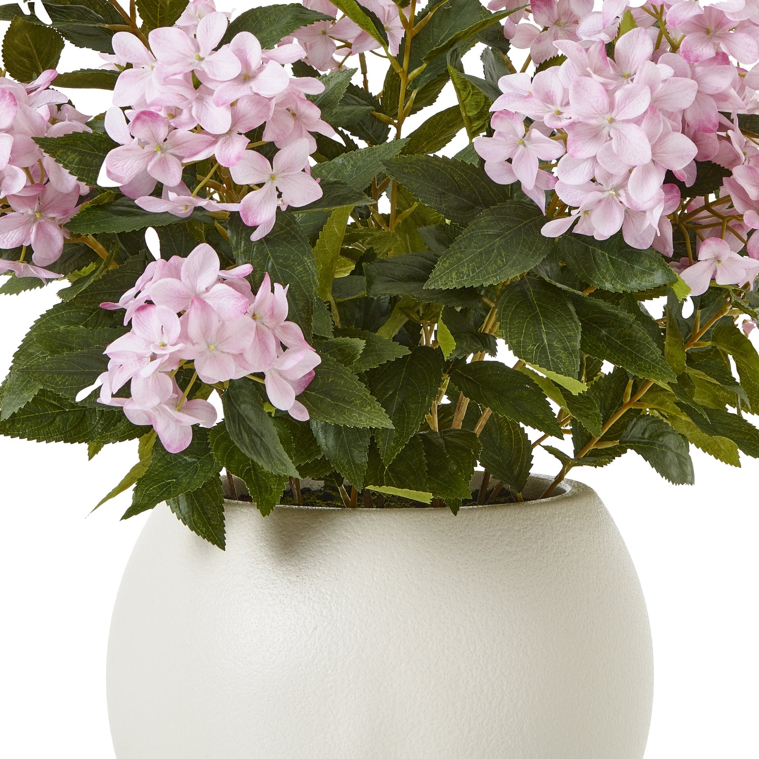 Large Pink Hydrangea Plant In Pot - Luxe Home Comforts