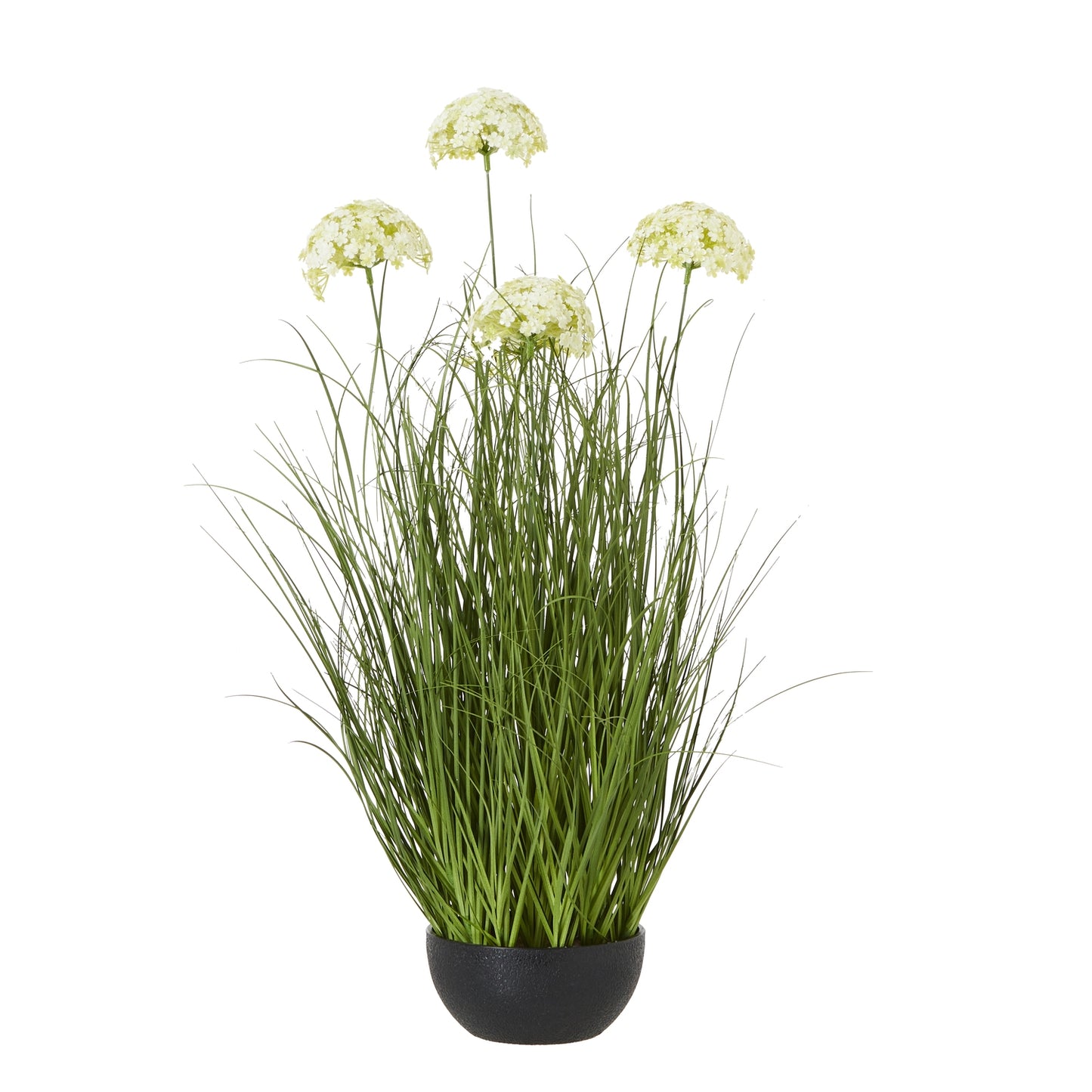 Large White Allium Plant In Pot - Luxe Home Comforts
