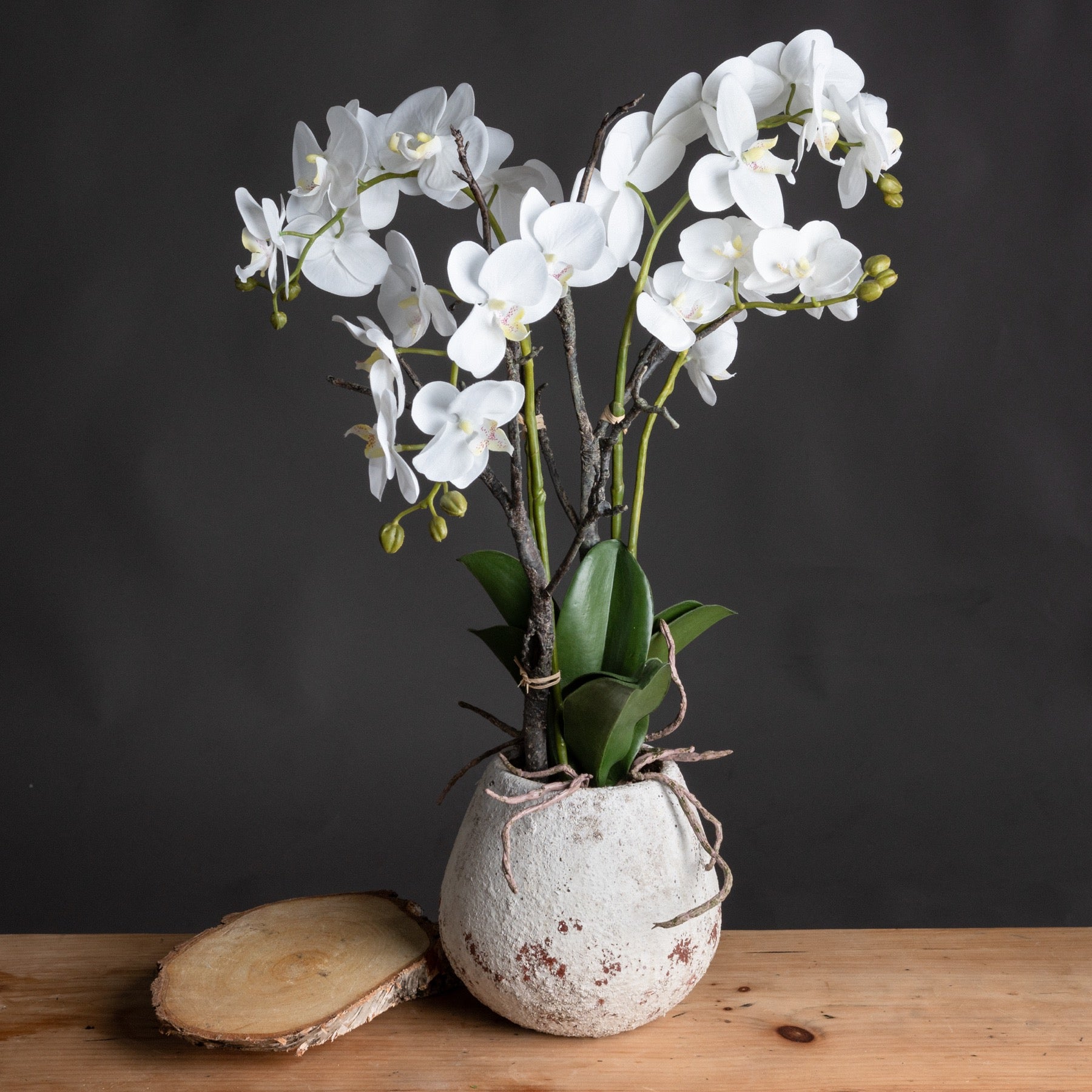 White Orchid In Stone Pot - Luxe Home Comforts