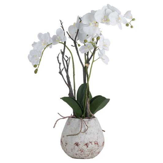 White Orchid In Stone Pot - Luxe Home Comforts