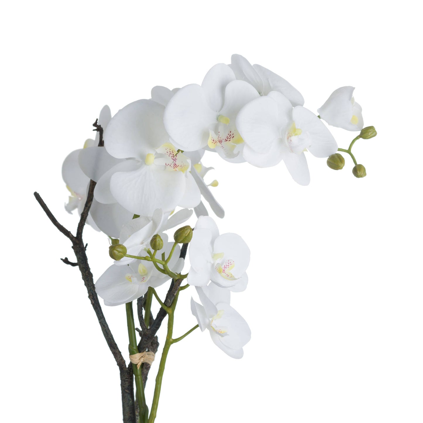 White Orchid In Stone Pot - Luxe Home Comforts